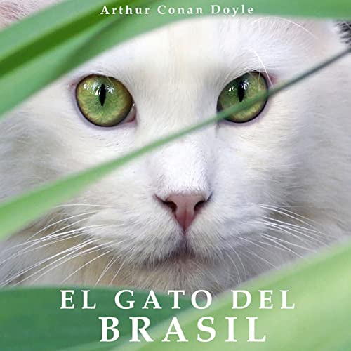 «El gato del Brasil»