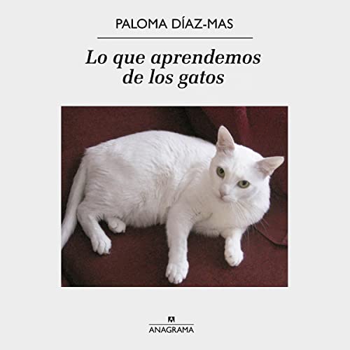 «Lo que aprendemos de los gatos»