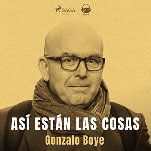 audiolibro Así están las cosas