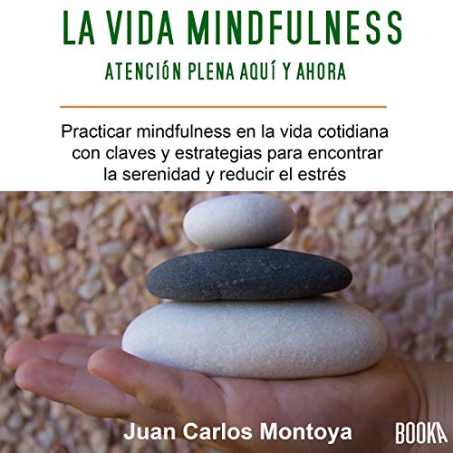 «La Vida Mindfulness: Atención Plena Aquí y Ahora: Practicar Mindfulness en La Vida Cotidiana Con Claves y Estrategias para Encontrar La Serenidad y Reducir El Estrés»