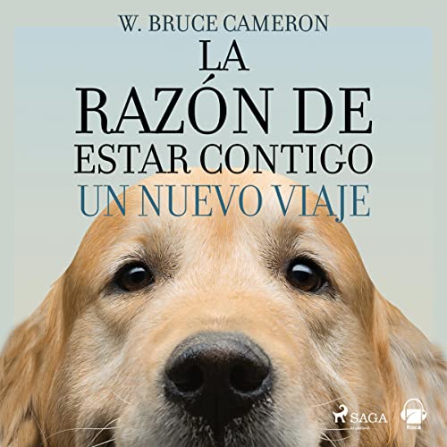 «Un nuevo viaje: La razón de estar contigo 2»